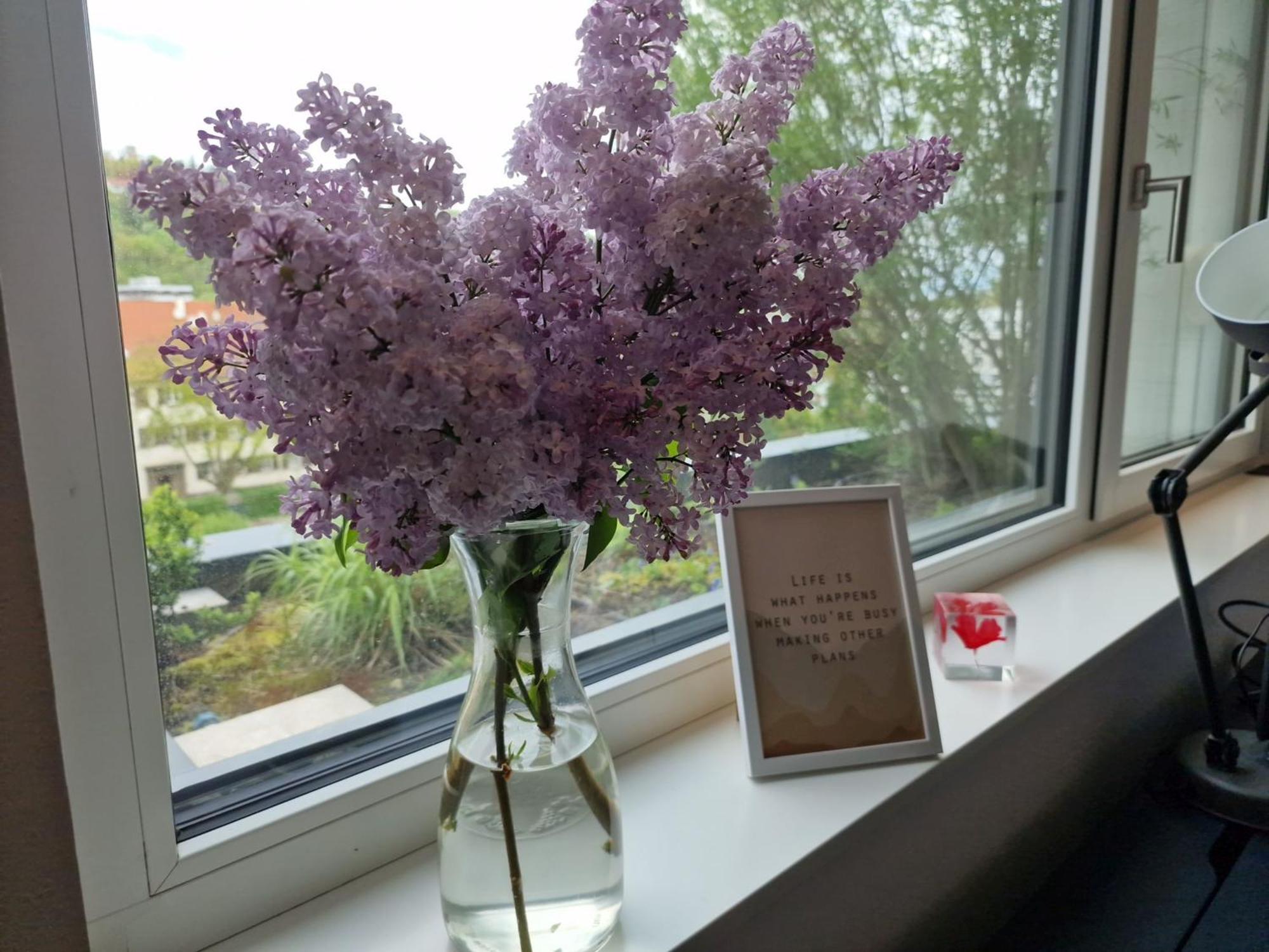 Stadtnahes Gaestezimmer Im Penthouse Bei Esi Tubingen Bagian luar foto